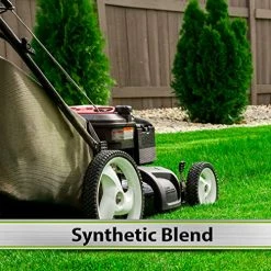 New ???? Remium Small Engine 4 Cycle Oil Formula, SAE10W-30 Small Engine Oil Engine Care Formula Reduces Wear For Lawnmower, Push Mower, Tractor, 32 Oz ???? -ZeroR-shop 51gELj15L9L